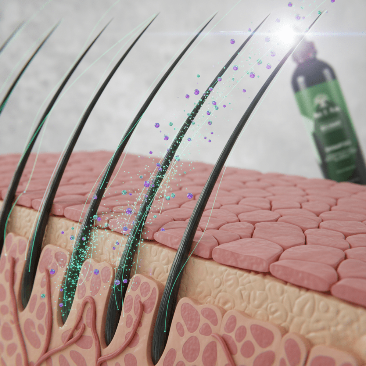 As I Am Rosemary Shampoo - Meerapa Deutschland