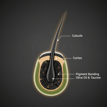 Bigen Men's Beard Colour B100 - Real Black - Meerapa Deutschland