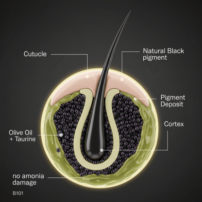 Bigen Men's Beard Colour B101 – Natural Black - Meerapa Deutschland