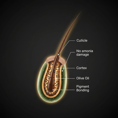 Bigen Men's Beard Colour B102 - Brown Black - Meerapa Deutschland